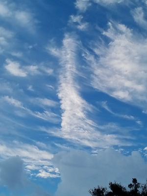 [The tips of some trees are a dark splotch in the lower right corner of the image. Behind and above those trees is a thick opaque cloud. Behind and above the cloud is blue sky with feathery white wisps of clouds including one which resembles a long thin triangle right in the middle of the image. It is like someone tossed white feathers on a blue background.]